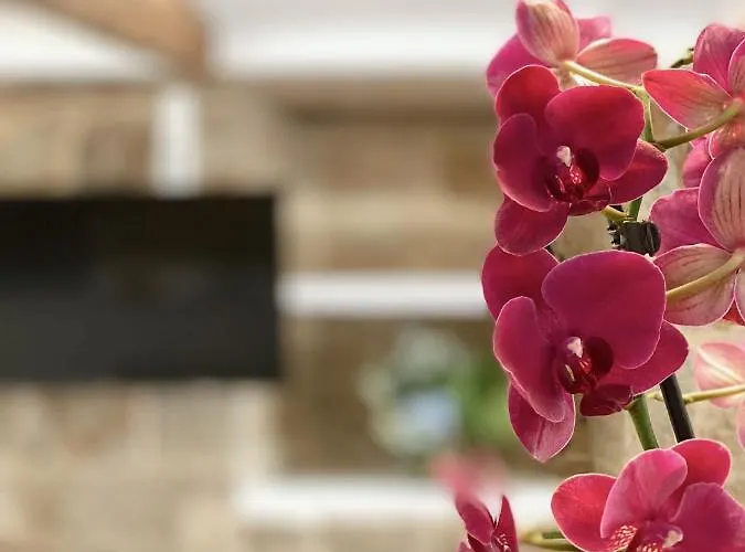 House ثيلانوفا